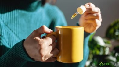 Are You Wondering How Much CBD Consuming