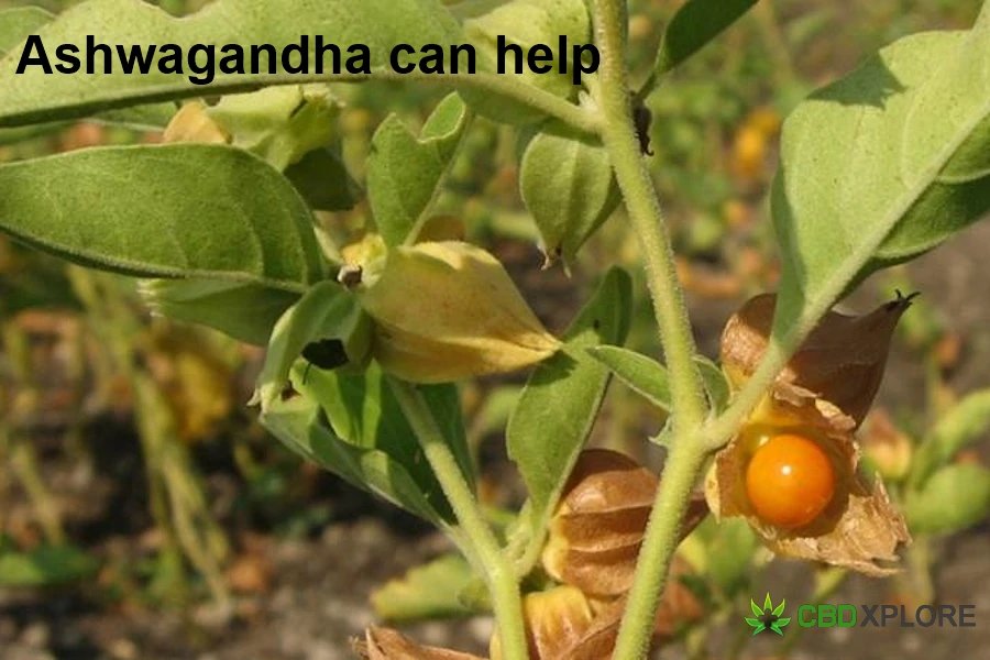 Ashwagandha can help