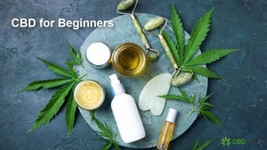 CBD for Beginners