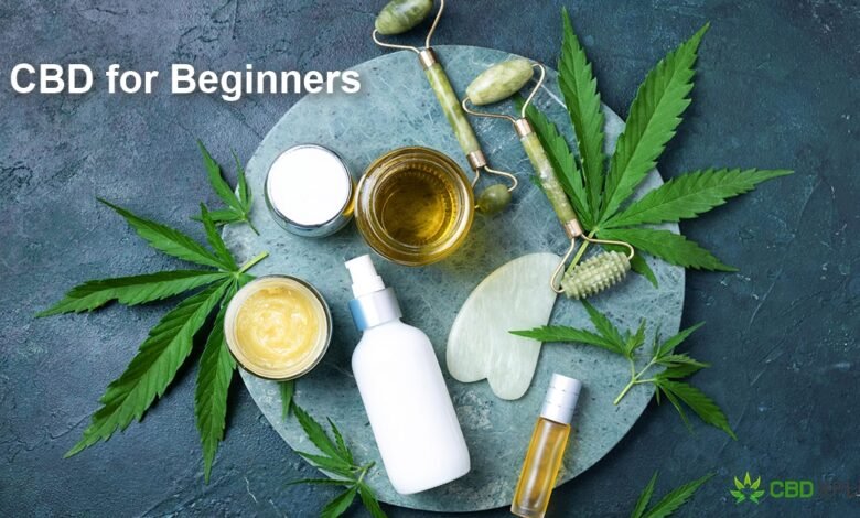 CBD for Beginners