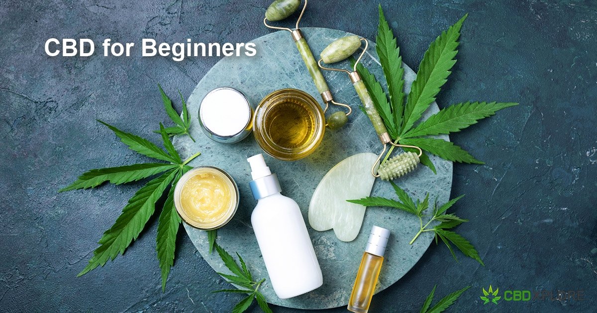 CBD for Beginners