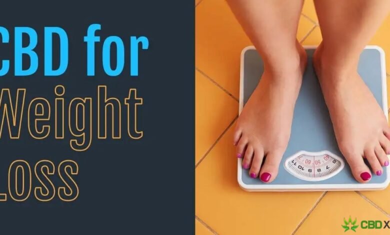 Can CBD Help You Lose Weight