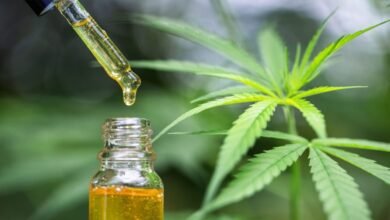 Can CBD Reduce Pain