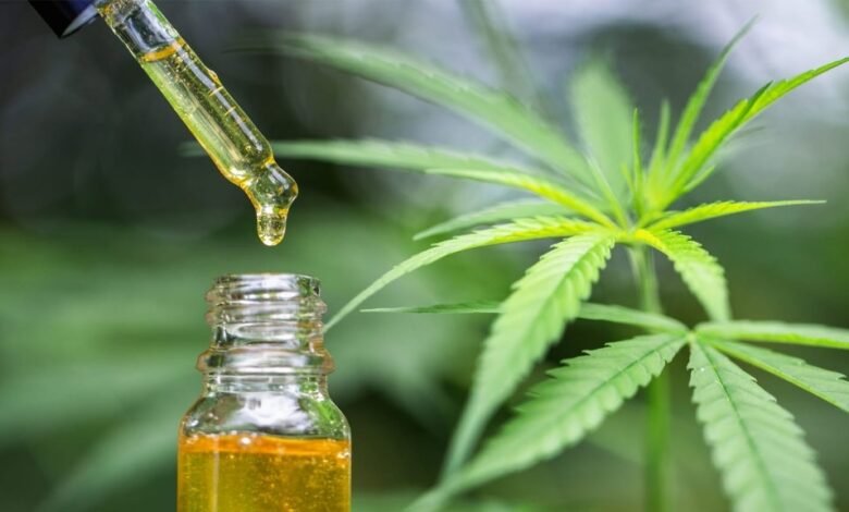 Can CBD Reduce Pain