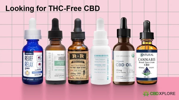Looking for THC-Free CBD