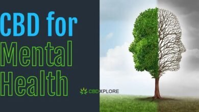 Mental Health is Important For Healthy Life