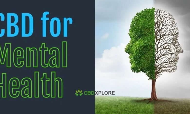 Mental Health is Important For Healthy Life