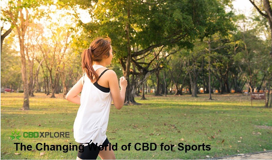 The Changing World of CBD for Sports