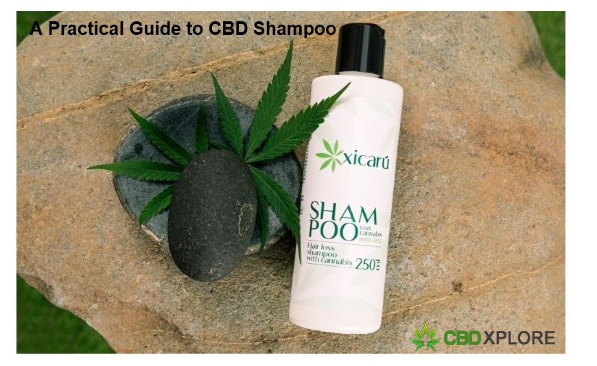 A Practical Guide to CBD Shampoo