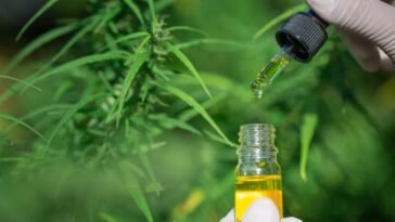 How to Avoid Scam CBD Oil Products
