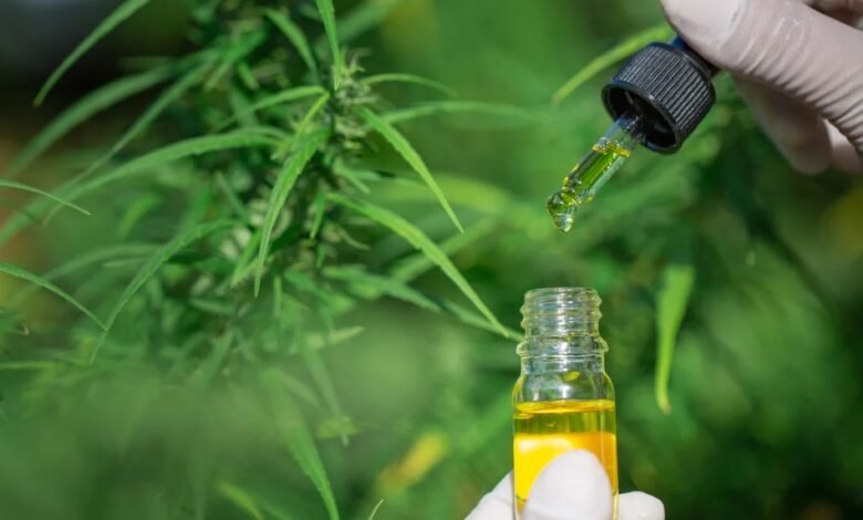 How to Avoid Scam CBD Oil Products