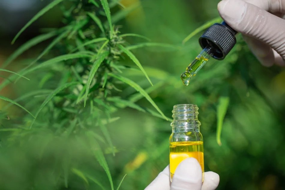 How to Avoid Scam CBD Oil Products