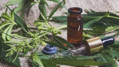Why Does CBD Recover Work in Any Lifestyle