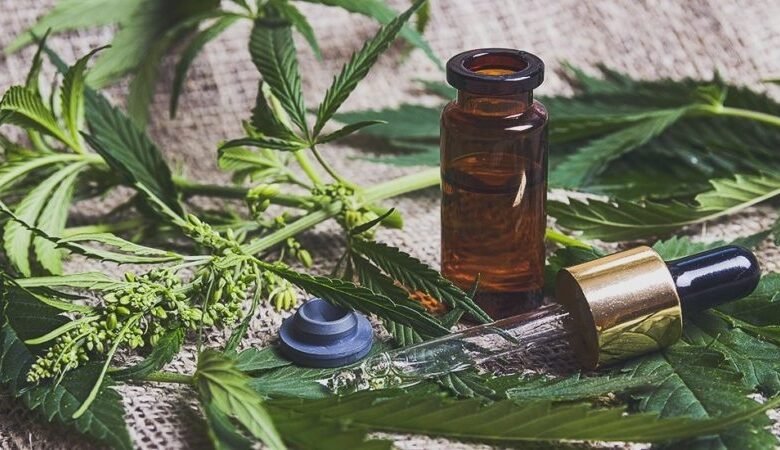 Why Does CBD Recover Work in Any Lifestyle