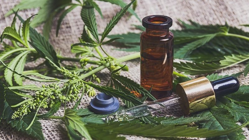 Why Does CBD Recover Work in Any Lifestyle