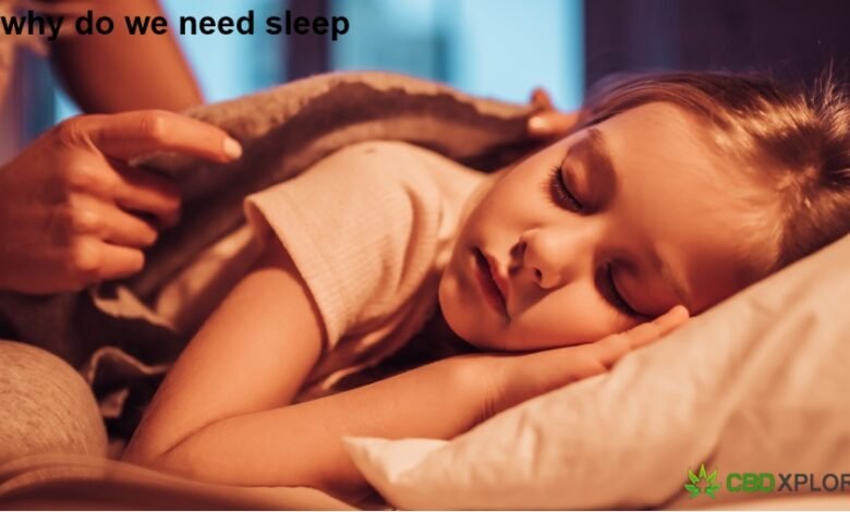 why do we need sleep