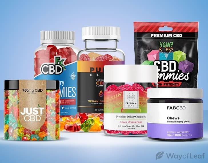 A Buyer's Guide to CBD Gummies.