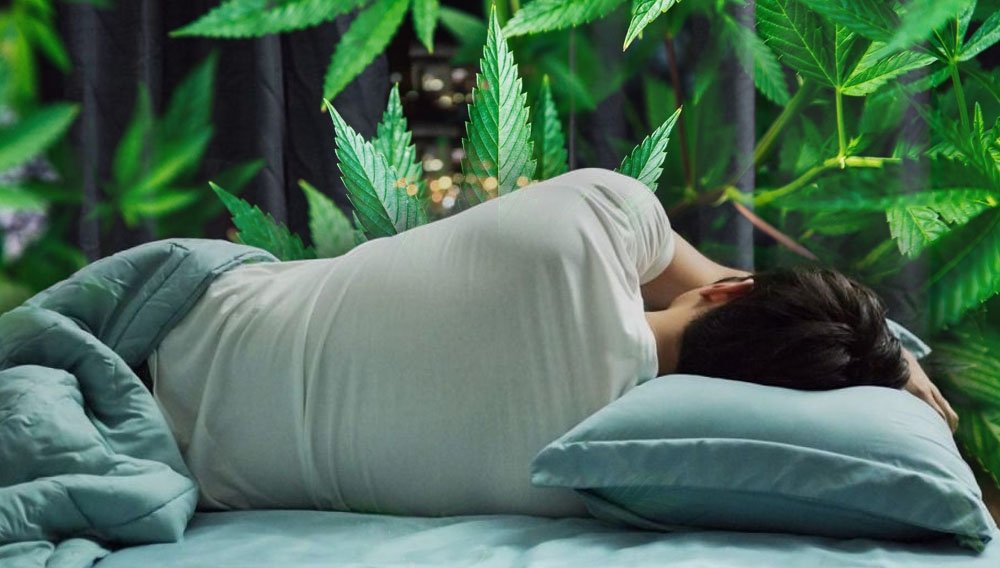 CBD For Sleep Help You Sleep Better