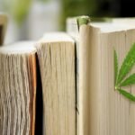 Don't Miss Our Top 4 Recommendations for CBD Books