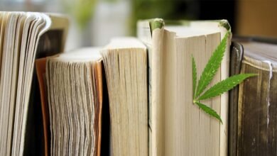 Don't Miss Our Top 4 Recommendations for CBD Books