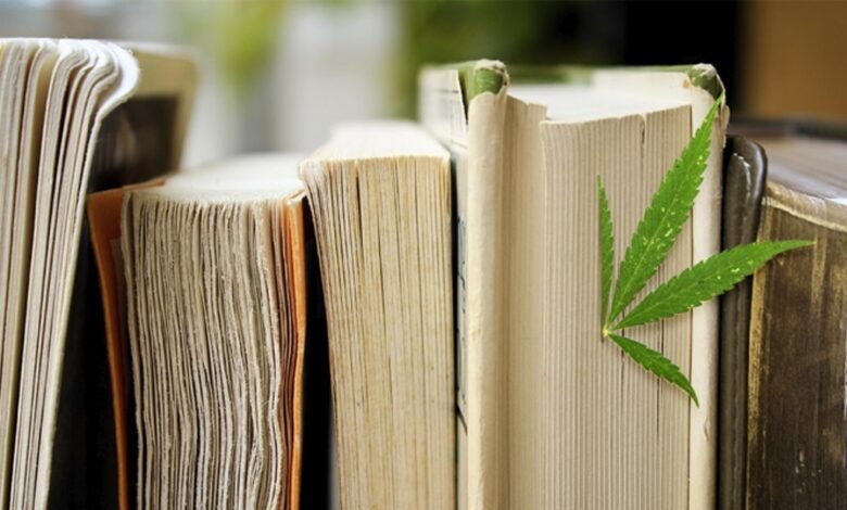 Don't Miss Our Top 4 Recommendations for CBD Books