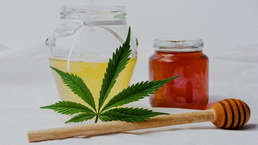 What You Need to Know About CBD Honey Sticks