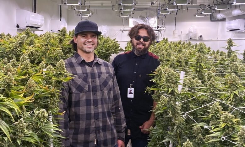From Weed to Wunderkind