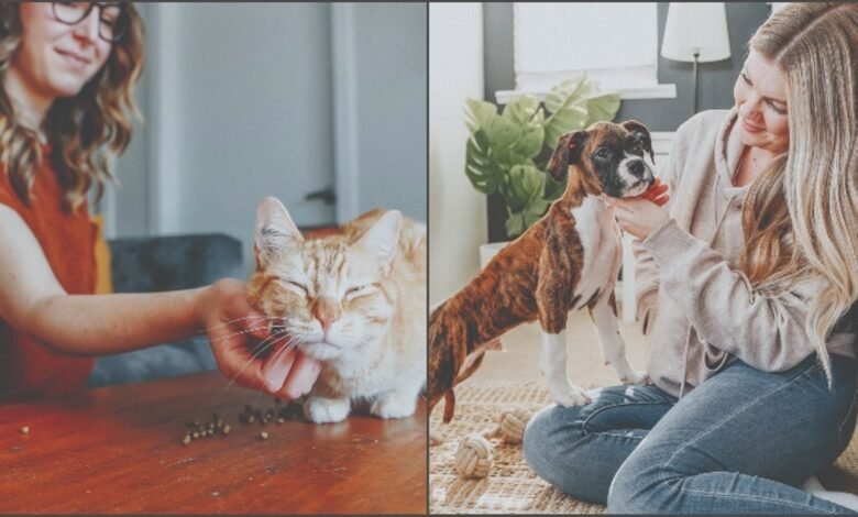 Making Wise Decisions for Your Pet's Well-Being