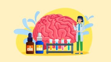 CBD and Brain Health: Promoting Cognitive Function and Mental Well-being