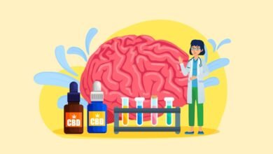 CBD and Brain Health: Promoting Cognitive Function and Mental Well-being
