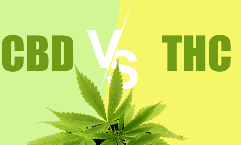 cbd vs thc