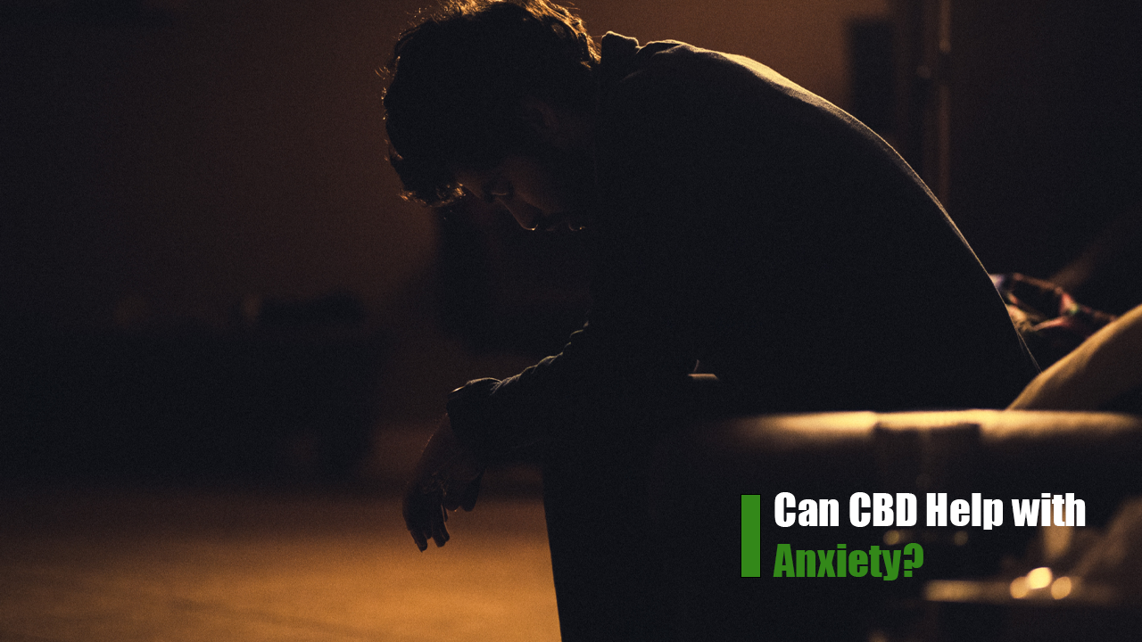 Can CBD Help with Anxiety Exploring the Research