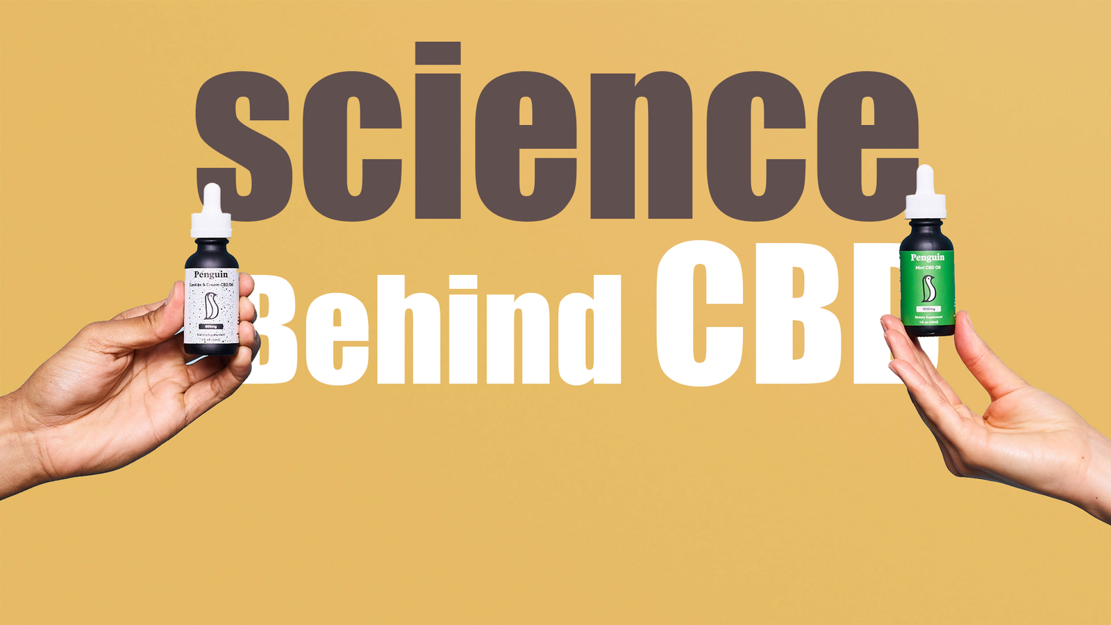 Exploring the Science Behind CBD How Does It Work