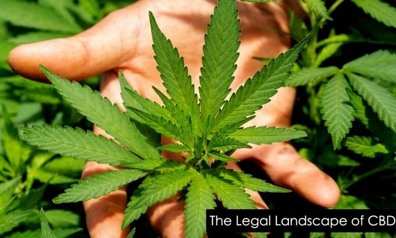 The Legal Landscape of CBD
