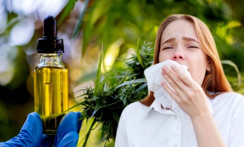 CBD and Allergies