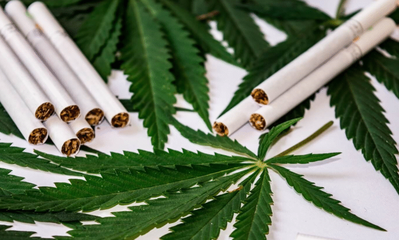 CBD Cigarettes