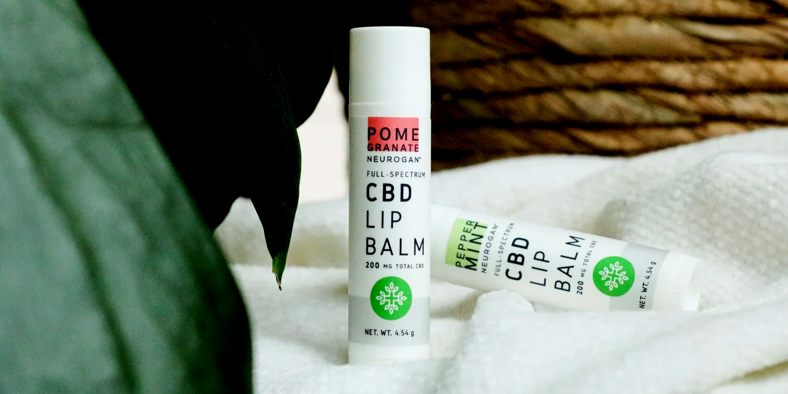 CBD Chapstick