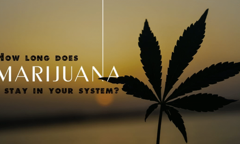 How Long Does Marijuana Stay in Urine