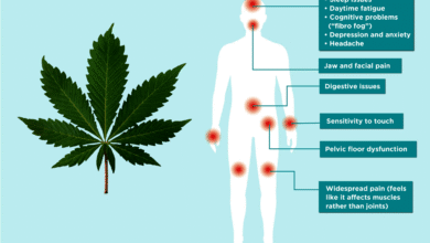 Can CBD Make Fibromyalgia Worse
