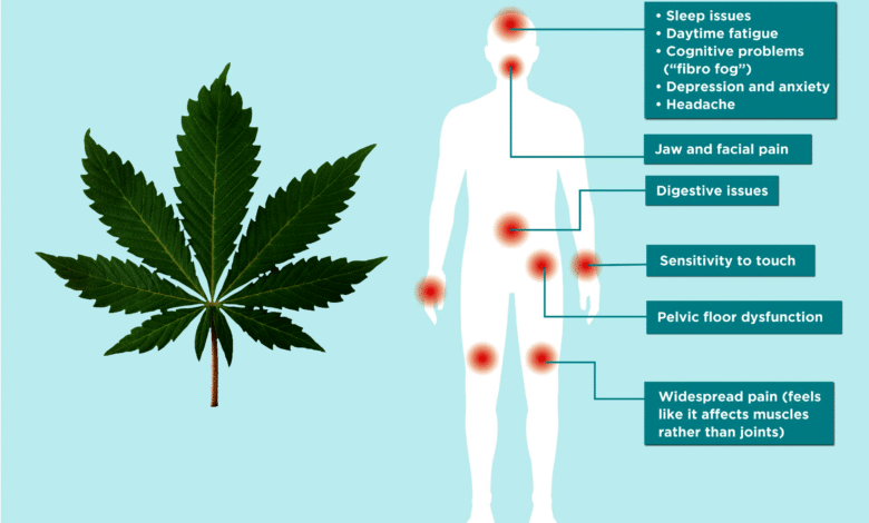 Can CBD Make Fibromyalgia Worse