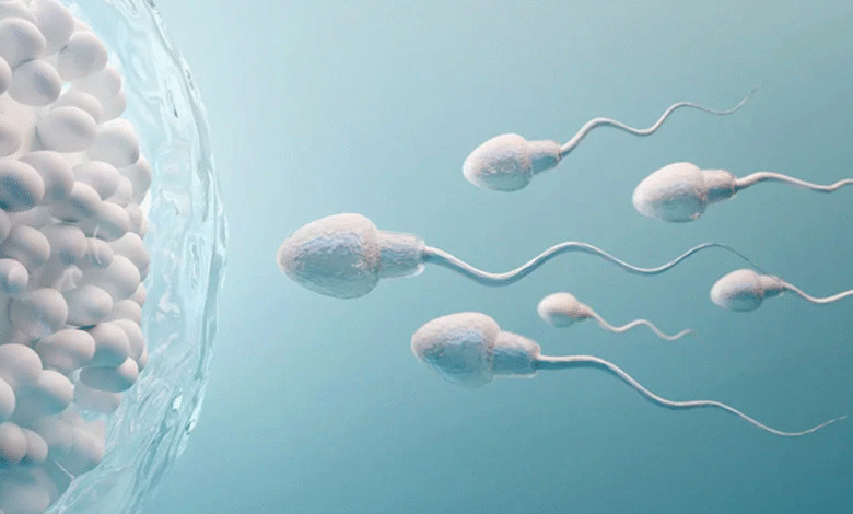 Cannabinoids for Male Fertility