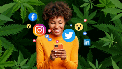 Cannabis Business Social Networks