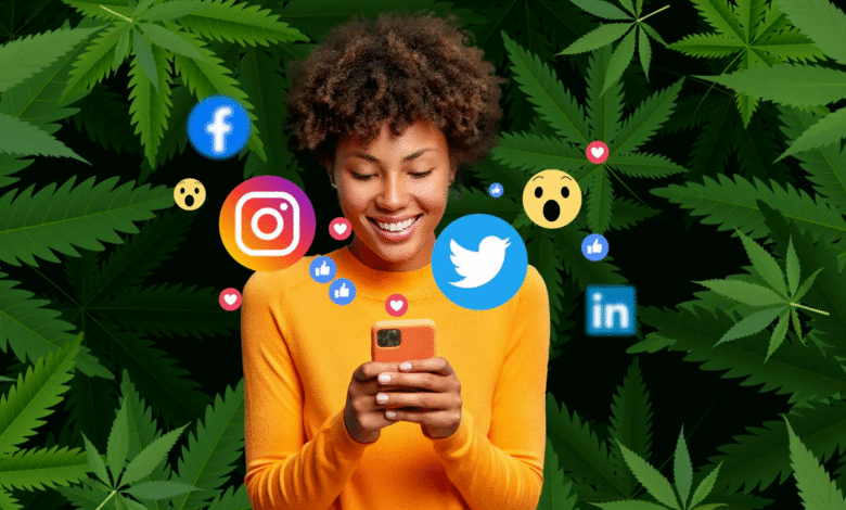 Cannabis Business Social Networks