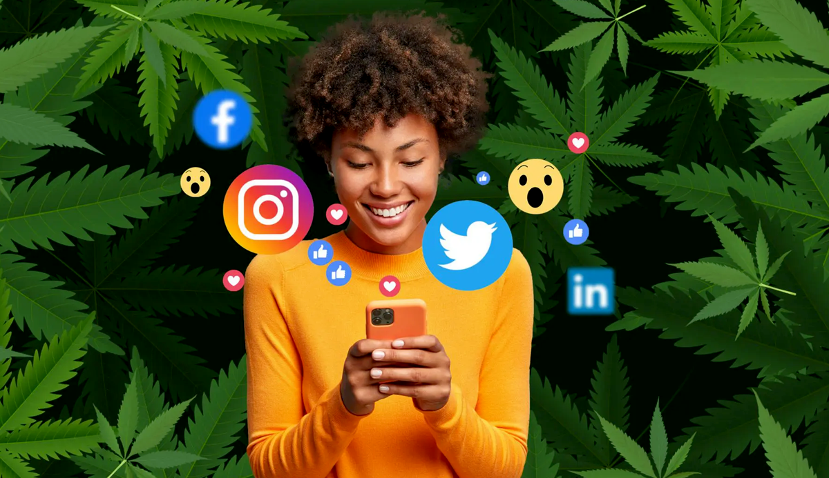 Cannabis Business Social Networks