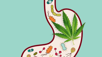 Cannabis for Diarrhea