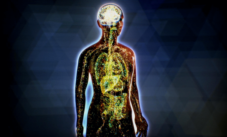 cbd benefits for the endocannabinoid system