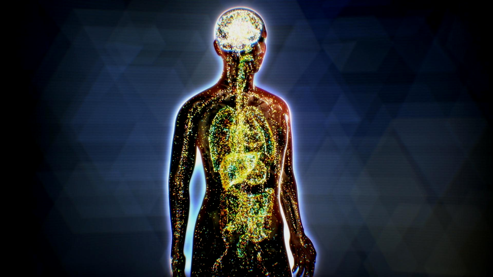 cbd benefits for the endocannabinoid system