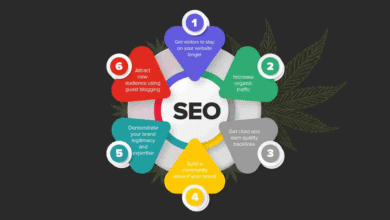 Mobile-First SEO for CBD