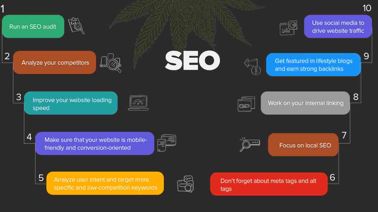 SEO Essentials for CBD Startup