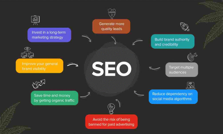 SEO Tips for CBD Businesses
